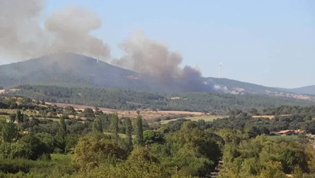 Bayramiç’te orman yangını: Ekipler müdahale ediyor