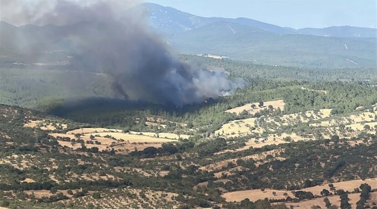 Çanakkale Bayramiç'te Orman Yangınına Büyük Müdahale