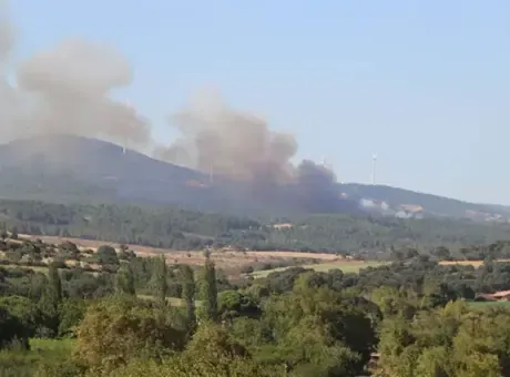 Çanakkale'de orman yangını! Havadan ve karadan müdahale ediliyor