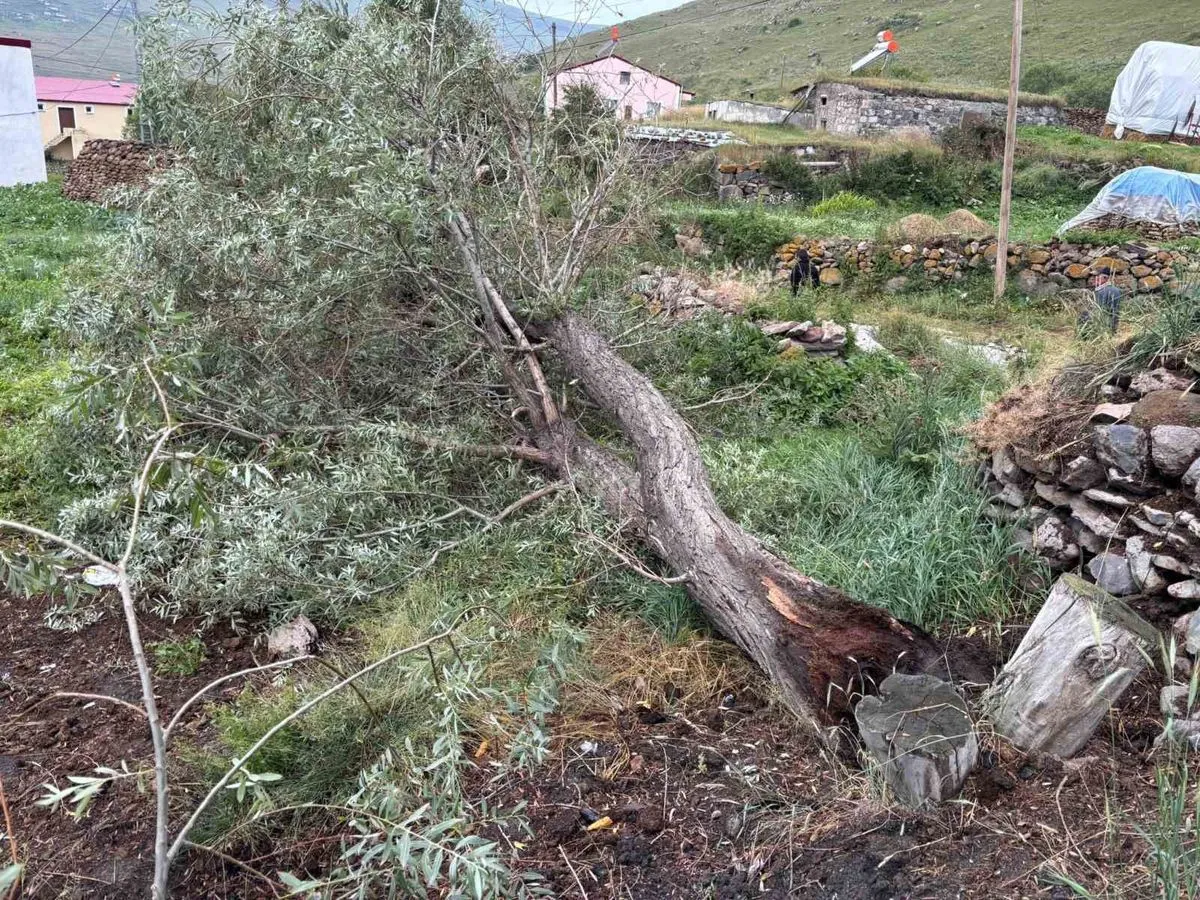Damal'da Fırtına Ağaçları Devirdi, Köylüler Seferber Oldu
