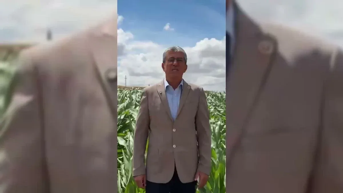 Gökhan Günaydın: 'TMO derhal nohut alımı yapmalı'