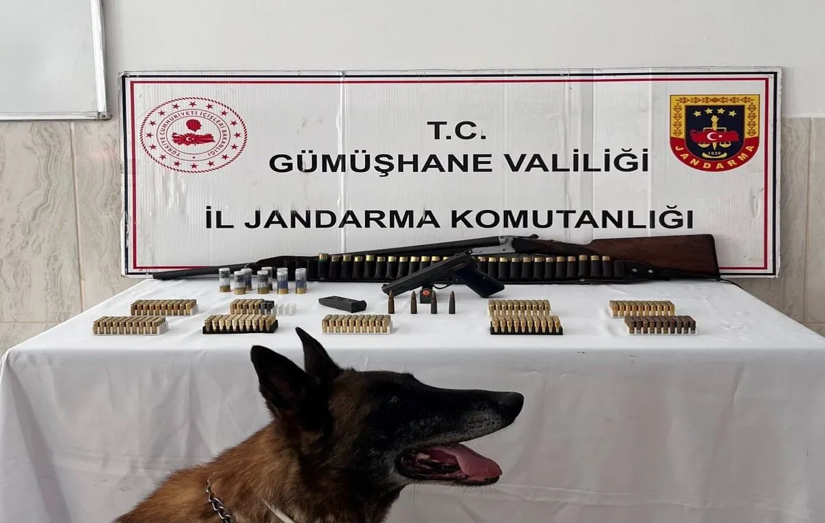 Gümüşhane'de Eve Silah Baskını: Çok Sayıda Ruhsatsız Silah ve Mühimmat Ele Geçirildi