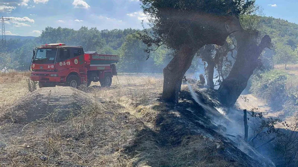 Hanönü'nde Tarlada Örtü Yangını Kontrol Altına Alındı