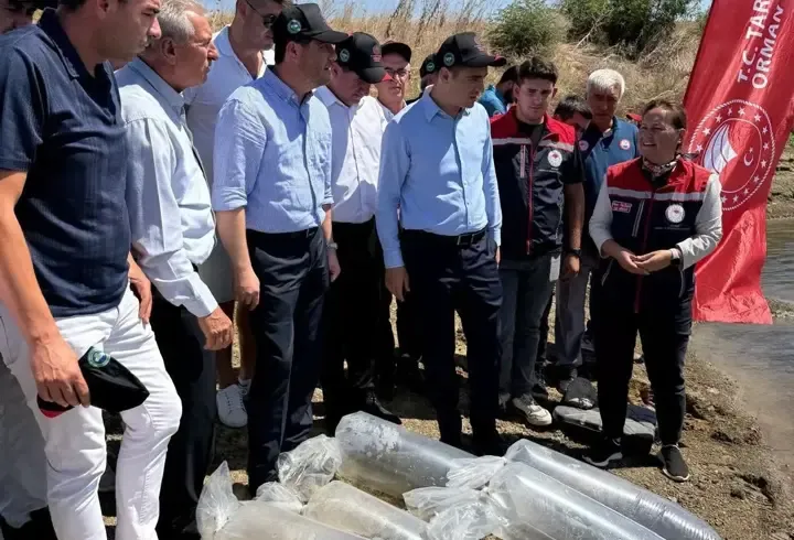 İpsala’da gölete 2 bin yavru sazan balığı bırakıldı