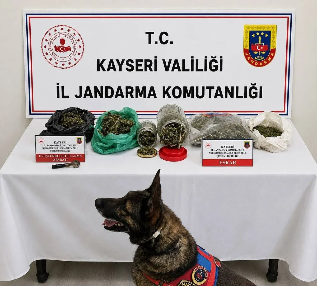 Kayseri'de 1,2 kilo esrar ele geçirildi; 1 gözaltı