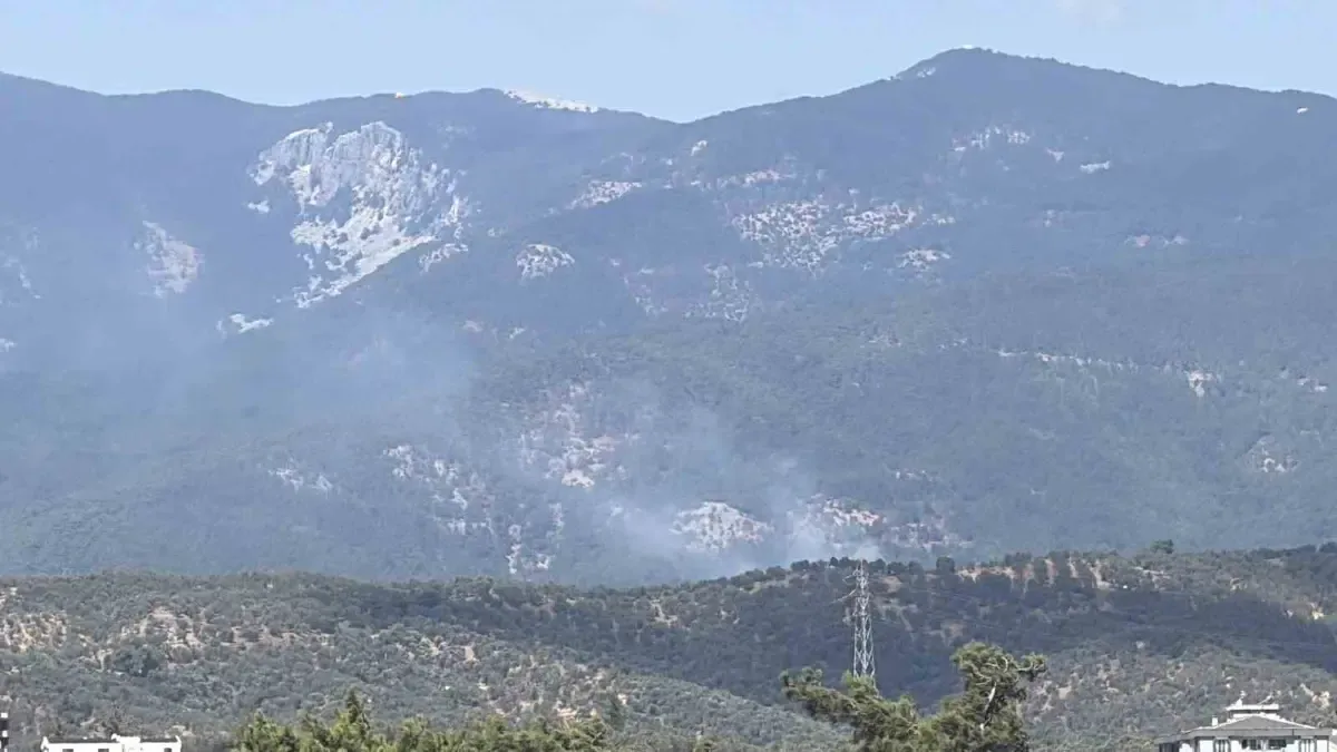 Kazdağı Milli Parkı'ndaki orman yangını kontrol altında