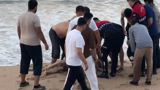 Kıyıda oturuyordu dalgalar yuttu! Karaburun'da 58 yaşındaki adam hayatını kaybetti