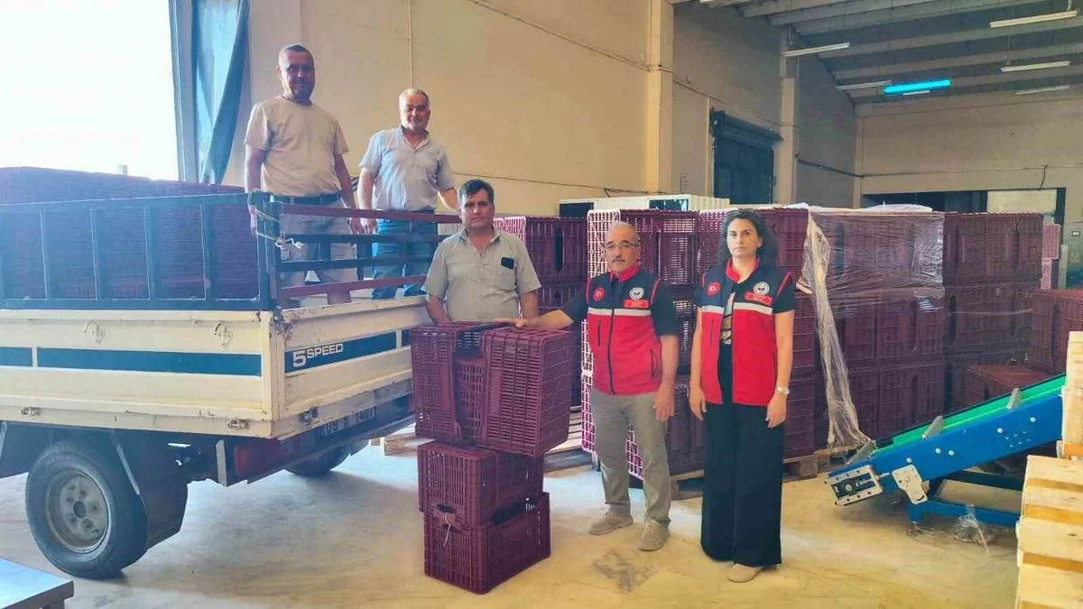 Nazilli'de incir üreticilerine yüzde 50 hibeli depolama kasası dağıtımı