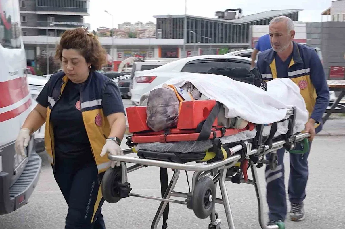 Seydiler'de kamyon-otomobil çarpıştı: 3 yaralı