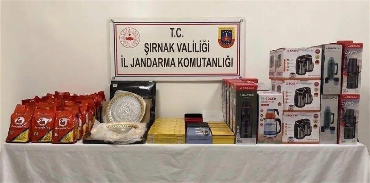 Şırnak'ta kaçakçılık operasyonu: 202 şüpheliye adli işlem