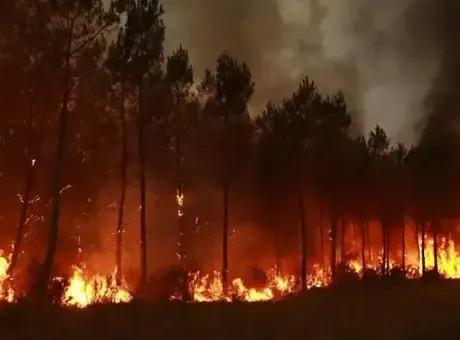 52 gün sürmüştü: Sırbistan'daki orman yangını söndürüldü