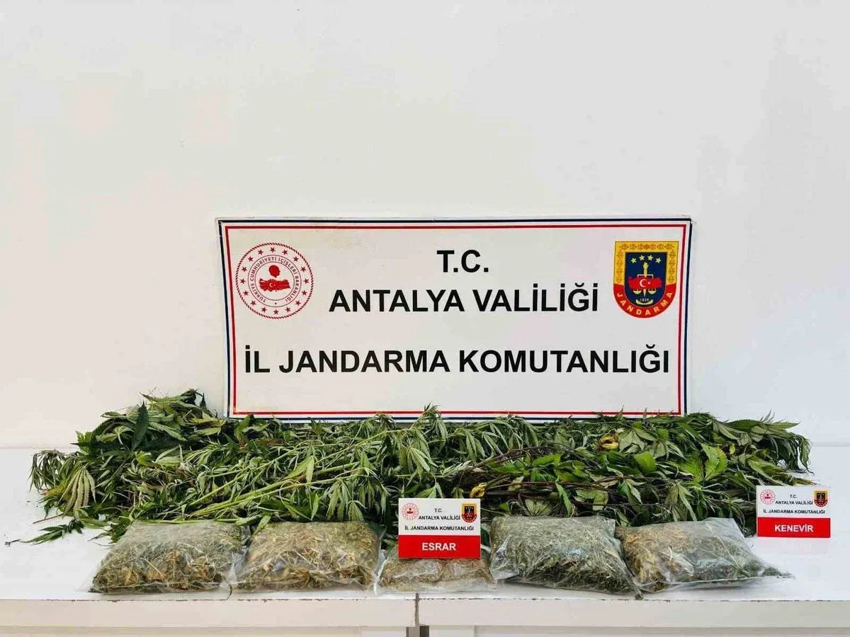 Alanya'da Uyuşturucu Operasyonu: 24 Kök Kenevir ve 2 Kilo 642 Gram Esrar Ele Geçirildi