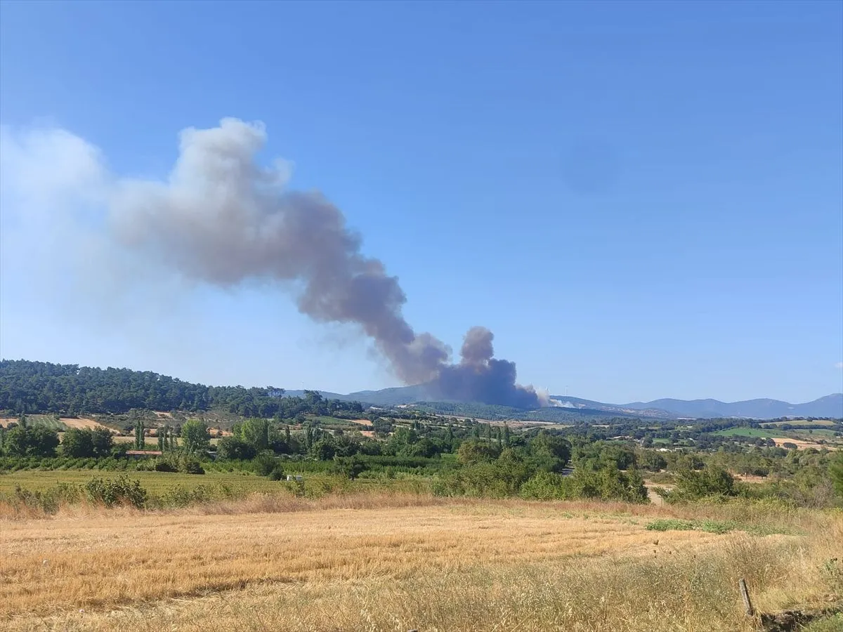Çanakkale'de çıkan orman yangını kontrol altına alındı
