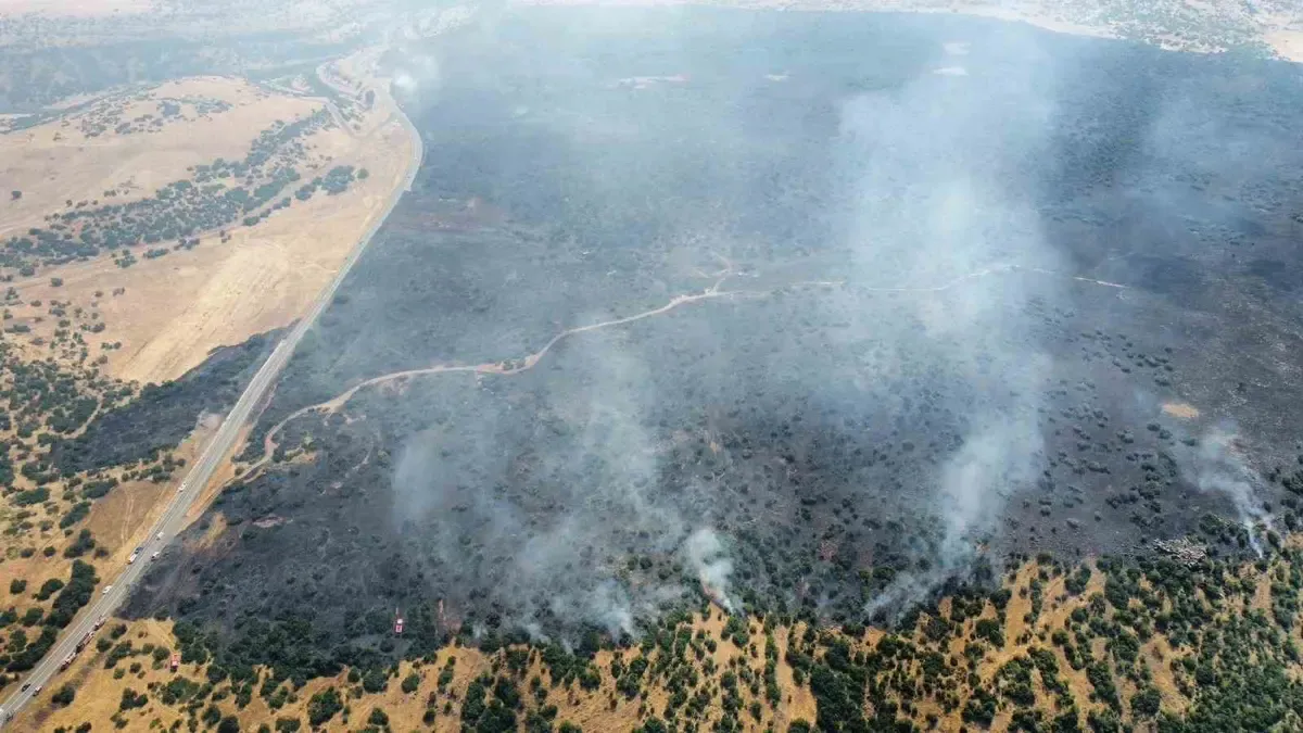 Elazığ'da orman yangını. Ekipler müdahale ediyor
