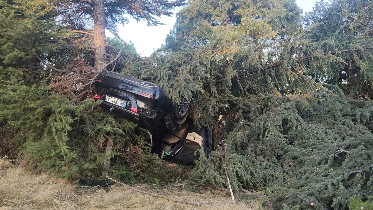 Elazığ'da Otomobil Ağaca Çarptı: 1 Yaralı