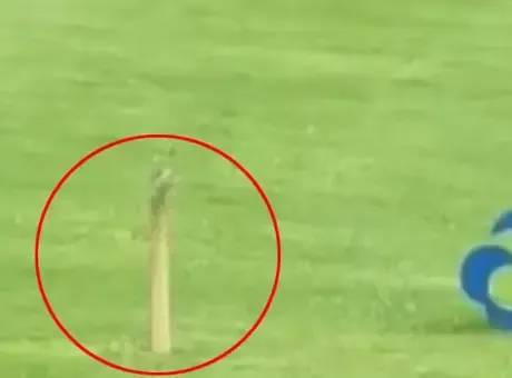 Golf deliğinden çıkan hayrete düşürdü! Gördüğüne inanamadı