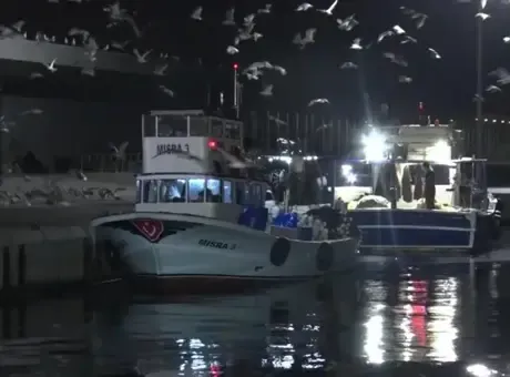 İstanbul’da av yasağı bitti ve ilk balıklar bu gece avlandı