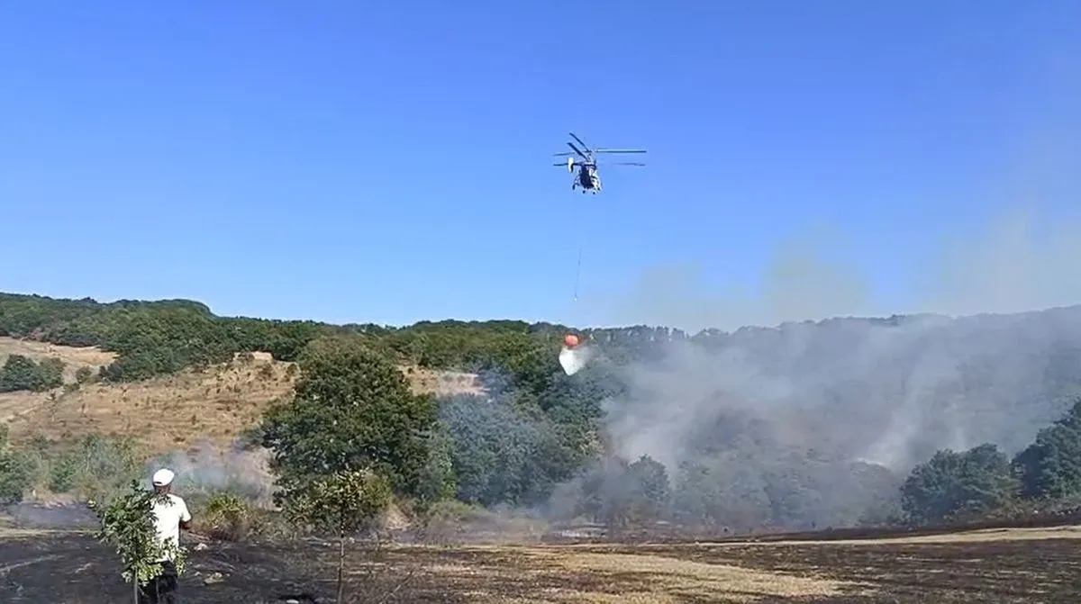 İznik'te Orman Yangını: Ekipler Havadan ve Karadan Müdahale Ediyor