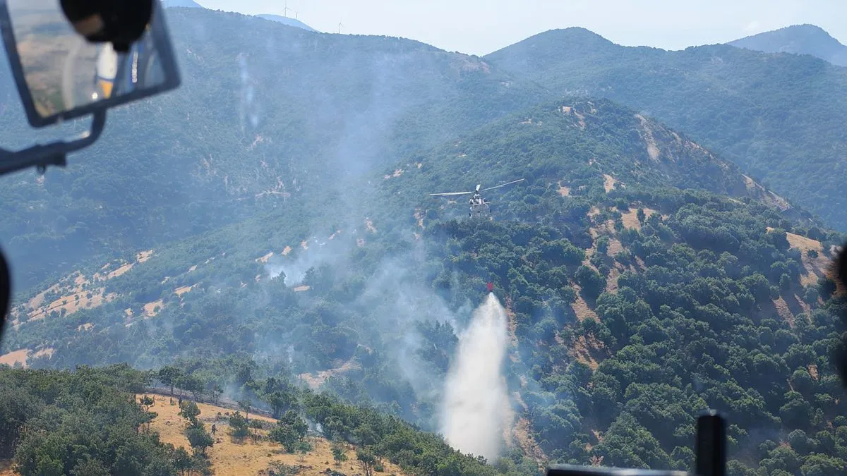 Kahramanmaraş'ta İki Ayrı Orman Yangını Kontrol Altına Alındı