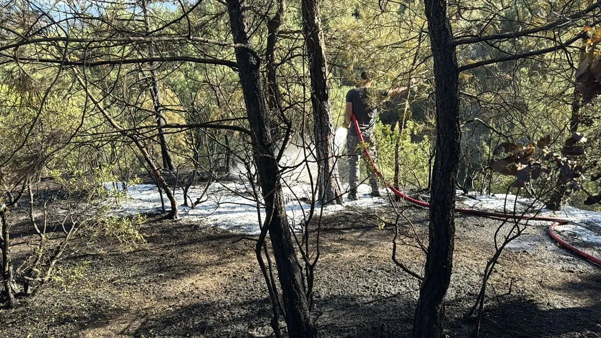 Karabük'te Orman Yangını Söndürüldü