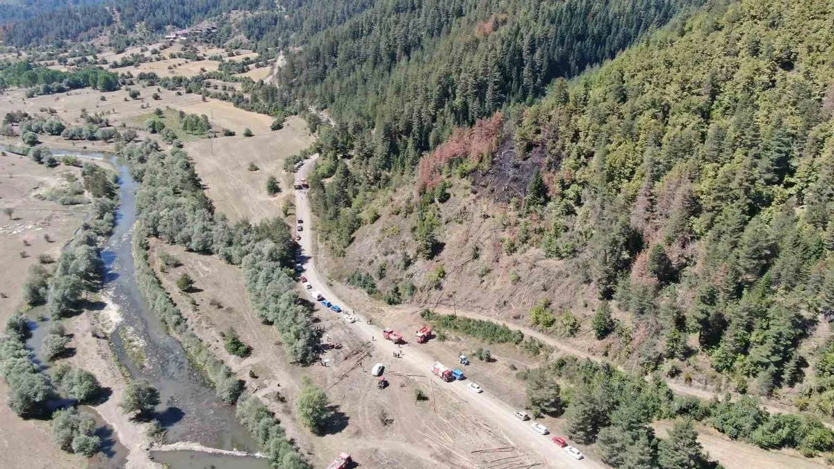 Kastamonu'da Tomruk Çekerken Elektrik Akımına Kapılan Kişi Öldü