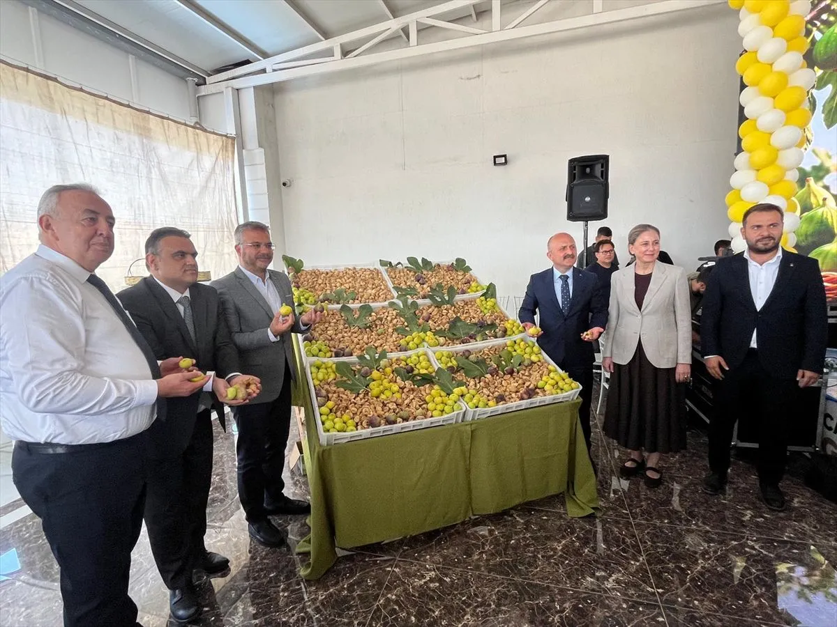Nazilli'de İlk Kuru İncir 1000 Liradan Alındı