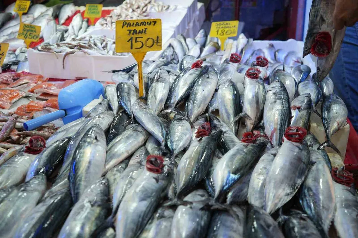 Palamut sezonu açıldı: 150 TL'den tezgahlarda