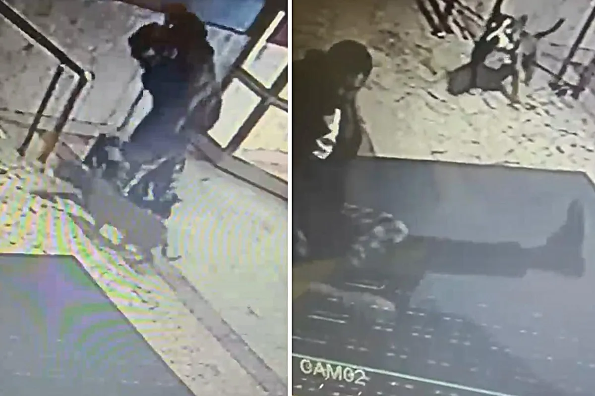 Pitbull korkusu site sakinlerini bezdirdi! Ailelerin yardım istediği kaymakama saldırı kamerada