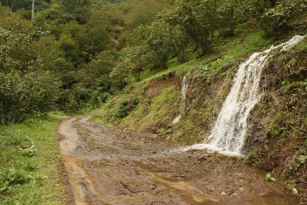 Salıpazarı'nda Şiddetli Yağış Evde Su Baskınına Yol Açtı
