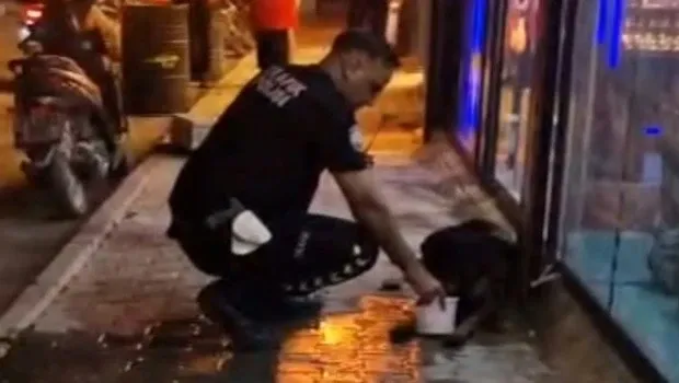 Sokak köpeğini av tüfeğiyle vuran şüpheli gözaltına alındı