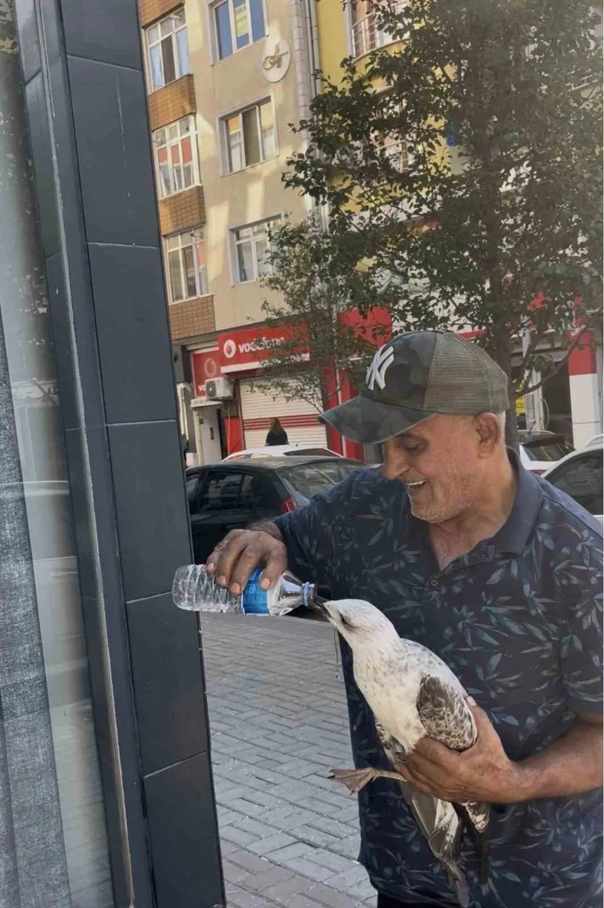 Tekirdağ’da bitkin düşen martı kolunu ısırdı şefkatini eksik etmedi
