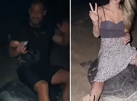 Turistlerden skandal hareket! Kameralar anbean kaydetti: 'Kaplumbağanın üstüne bindiler'