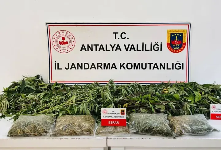 Uyuşturucuya 1 gözaltı