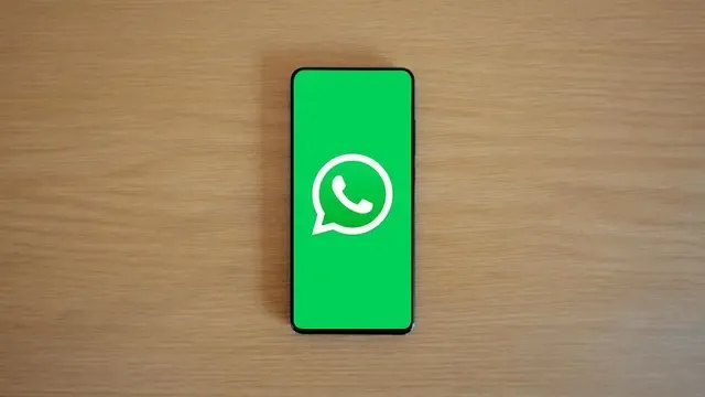 WhatsApp Depolama Alanı Nasıl Temizlenir?