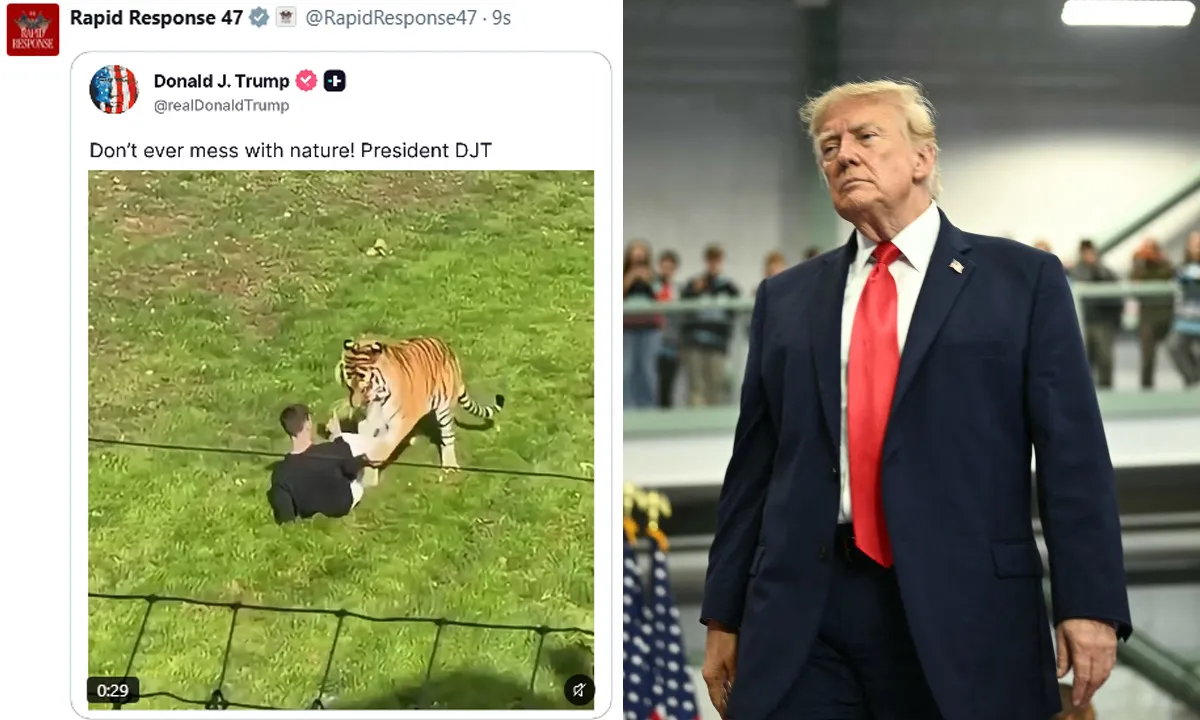 Kaplanın ziyaretçiyi öldürdüğü videoyu paylaşan Trump'a tepki yağdı