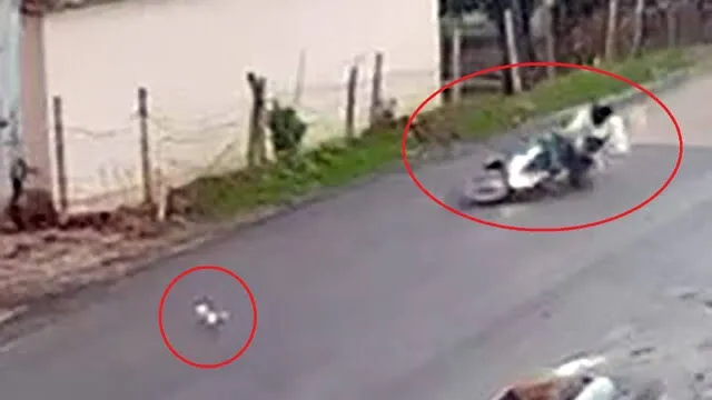Kediye çarpmamak için direksiyonu kırdı: Motosiklet kazası kamerada