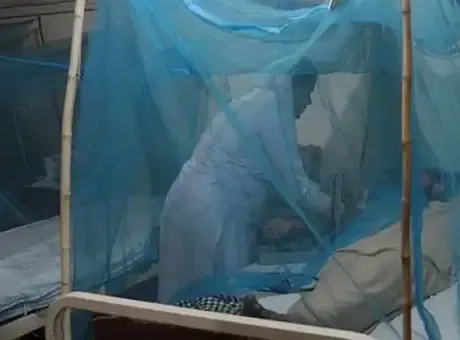 Sivrisinekle bulaşan tehlike! Bangladeş'te dang humması vakası 100 bini geçti